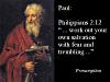 Paul - fear and trembling